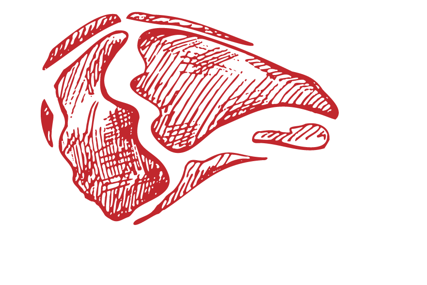 Corte de carne argentina a la parrilla